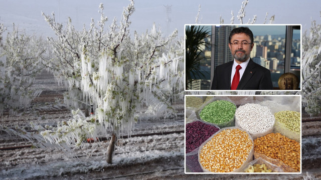 Bakan Yumaklı, zirai don nedeniyle başta hububat olmak üzere stratejik tarım ürünlerinde risk bulunmadığını söyledi.