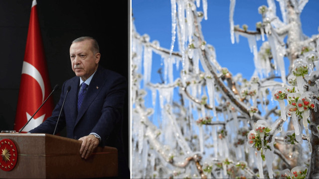 Cumhurbaşkanı Recep Tayyip Erdoğan zirai don felaketine ilişkin açıklama yaptı.