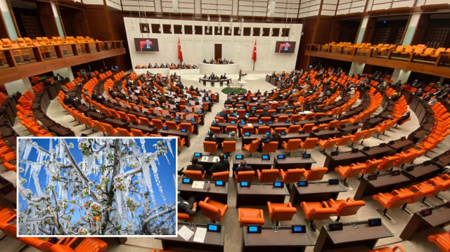 Zirai donun etkilerini araştıracak komisyon 22 üyeden oluşacak.