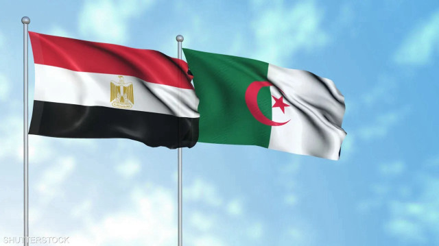 وزير خارجية مصر يزور الجزائر لتبادل الرؤى حول الأزمات الإقليمية