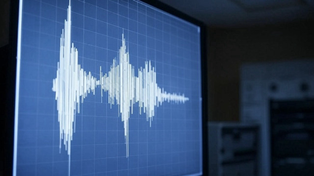 La dernière secousse, le 9 avril, avait une magnitude de 4,3 sur l'échelle de Richter et a été ressentie sans causer de victimes ni de dégâts majeurs, précise encore Businessnews.