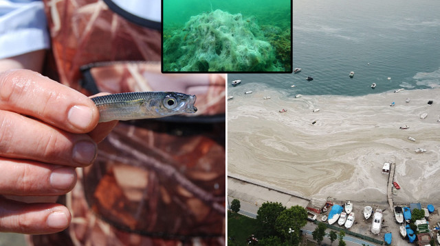 <p>Marmara Denizi'nde yeniden etkili olmaya başlayan müsilaj vatandaşlarda tedirginliğe yol açarken, Tekirdağlı balıkçılar ve balık satışı yapan esnaf müsilajın balığın etine zarar vermediğini belirtti.</p>