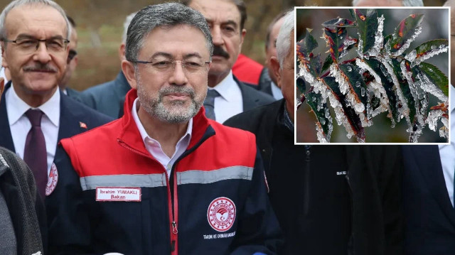 Tarım ve Orman Bakanı İbrahim Yumaklı, Giresun'da zirai dondan etkilenen fındık bahçelerini ziyaret etti.