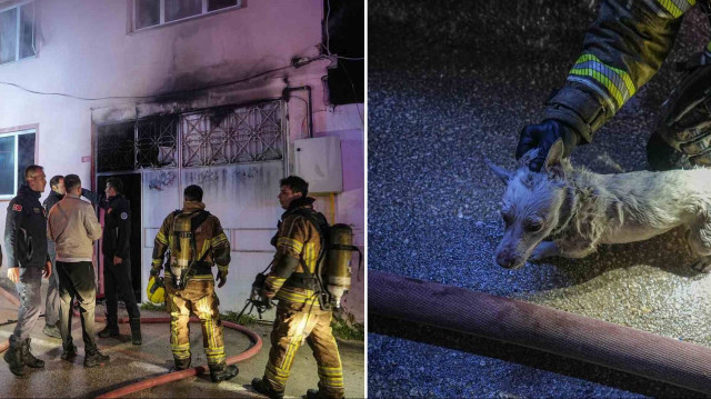 Ekipler tarafından kurtarılan köpeğe ilk müdahale olay yerinde yapıldı.