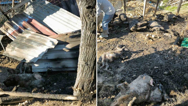 Kundaklama sonucu çıktığı ileri sürülen yangınla ilgili tahkikat devam ediyor.