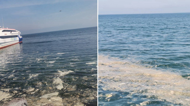 Müsilaj, Mudanya sahilinde yoğunlaşarak su yüzeyinde köpüksü bir tabaka oluşturdu.