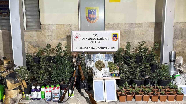 Evlerinde kenevir yetiştiren 2 şahıs bir kilo 407 gram esrar ile 297 adet uyuşturucu hap ile yakalandı.