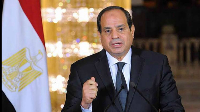 السيسي يدعو ترامب للعب دور في إحلال "السلام العادل" بالمنطقة (محدث)