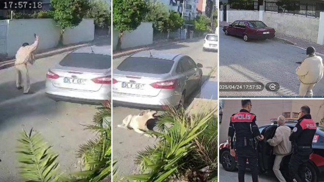 Köpeği vuran yaşlı adam polis merkezinde ifadesi alındıktan sonra serbest bırakıldı.