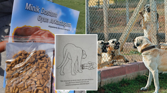 Silivri Belediyesi köpek yemi dağıtıp sahipsiz köpeklere karşı korunma taktikleri verdi.