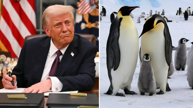 ABD Başkanı Donald Trump