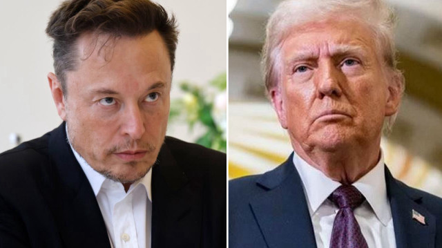 İş adamı Elon Musk, ABD Başkanı Donald Trump.