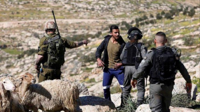 مستوطنون يهاجمون رعاة أغنام فلسطينيين جنوبي الضفة