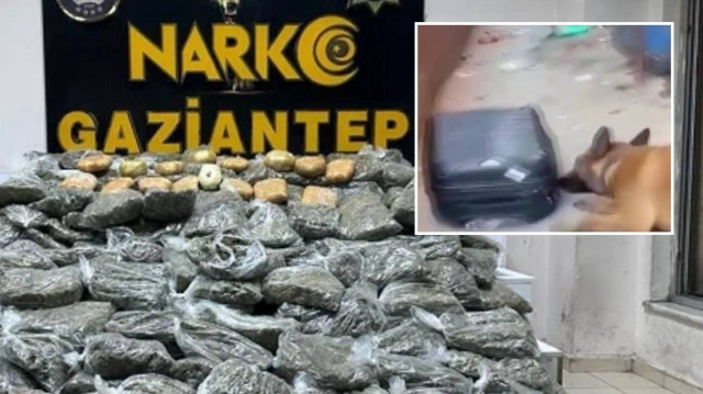 Uyuşturucuyu Petra isimli narkotik köpeği buldu.