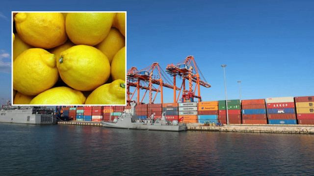  Limon ihracatı geçici olarak durduruldu. 