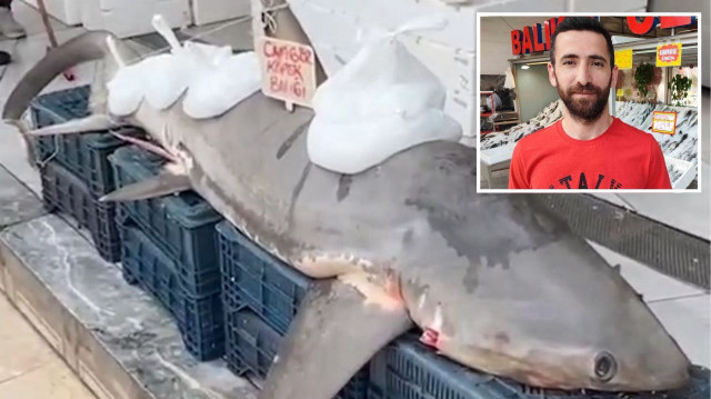 Adana'nın Yumurtalık ilçesinde Akdeniz açıklarında balıkçılar tarafından yakalanan 4.5 metre uzunluğundaki köpek balığı kanser hastalarına dağıtıldı.