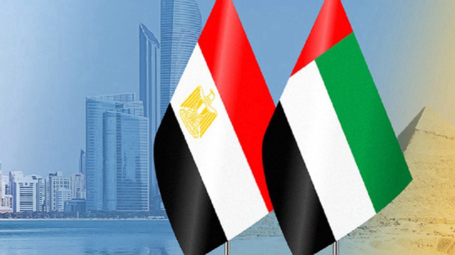 أبوظبي.. الإمارات ومصر تؤكدان ضرورة استئناف التهدئة بغزة