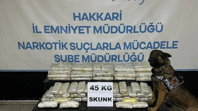 Aracında uyuşturucu madde ele geçirilen tır sürücüsü, sevk edildiği hakimlikçe tutuklandı.