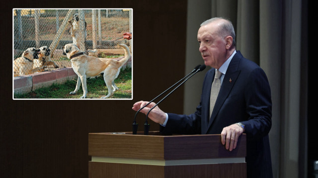 Cumhurbaşkanı Recep Tayyip Erdoğan AK Parti Genişletilmiş İl Başkanları Toplantısı'nda konuştu.