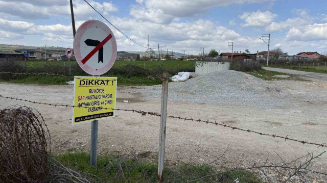 Çanakkale'de bir köye daha şap karantinası
