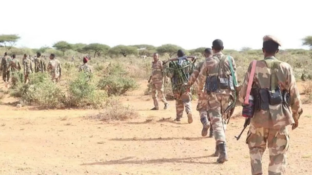 Somali'de terör örgütü Eş-Şebab'a yönelik operasyonda 15 militan öldürüldü