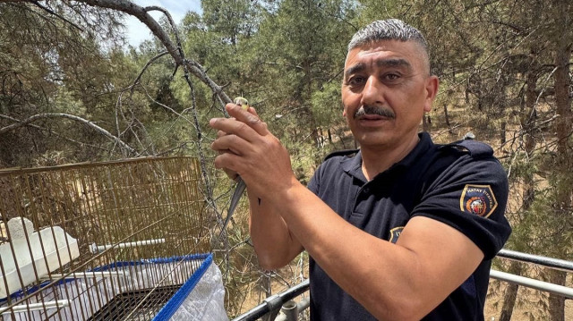 Muhabbet kuşu ağaçta mahsur kaldı.