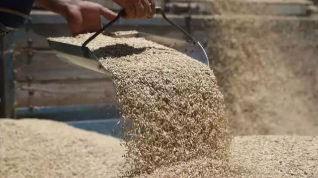 TMO buğday arpa alımları