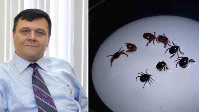 Prof. Dr. Nazif Elaldı, kenelere karşı korunmak için alınabilecek önlemleri anlattı.