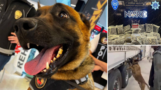 Narkotik köpeği Carlos, uyuşturucu tacirlerine göz açtırmıyor.