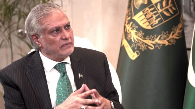 وزیر خزانہ اسحاق ڈار