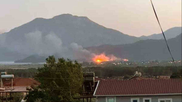Köyceğiz'de sazlık alanda yangın çıktı.