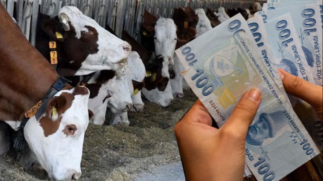 <p>Tarımsal destek ödemesi yattı mı?</p>