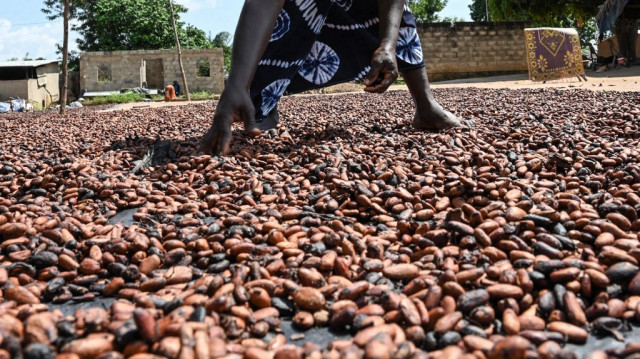 Un ralentissement des exportations de cacao depuis la Côte d’Ivoire, premier producteur mondial, et les conditions météorologiques défavorables en Afrique de l’Ouest.