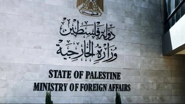 فلسطين تطالب بتحرك دولي يردع جرائم المستوطنين في بروقين بالضفة