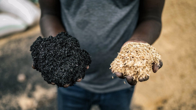 Le site québécois Carbonité, l’un des plus grands au monde, mise sur les résidus forestiers pour produire du biochar et piéger massivement le CO2, en partenariat avec Microsoft et Suez.