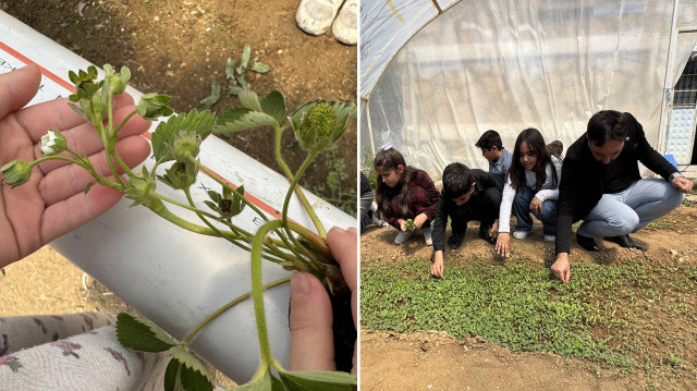 Fevzi Çakmak İlkokulunun bahçesine kurulan serada öğrenciler, topraksız tarım yöntemlerini öğreniyor.