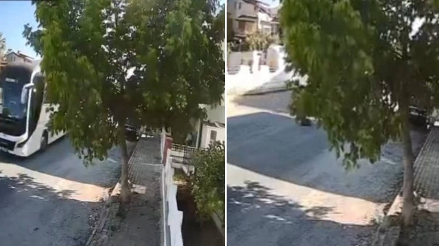 Köpeği ezerek yoluna devam eden şoförle ilgili inceleme sürüyor.