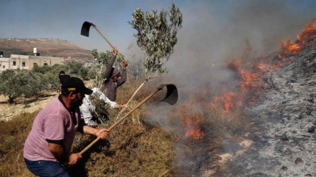 مستوطنون يحرقون أراضي زراعية ويعتدون على مركبة فلسطينية بالضفة