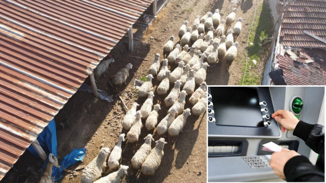 Tarım ve Orman Bakanı İbrahim Yumaklı detayları paylaştı.