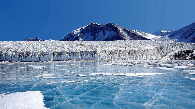 Une étude révèle que l’intelligence artificielle peut prédire les périodes critiques de migration pour éviter les perturbations causées par les navires brise-glace.