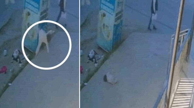 Tekirdağ'da 5. kattan düşen 1 yaşındaki çocuk hayatını kaybetti.