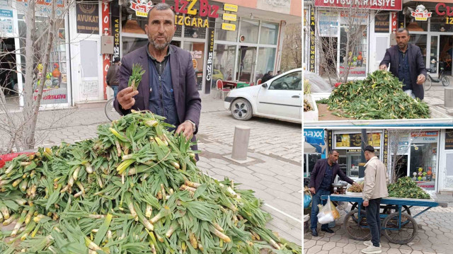 Tezgahlar yeşile bürünürken, bu ürünlerin hem ekonomik hem de kültürel değeri ön plana çıkıyor. 