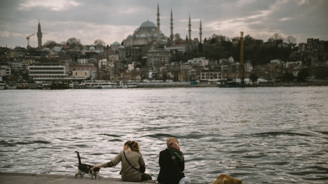 Une femme caresse un chat des rues alors qu'ils sont assis sur la rive de la Corne d'Or, la mosquée Suleymaniye apparaissant en arrière-plan, à Istanbul.