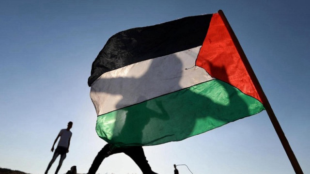 أكاديمي بريطاني: فلسطين تناضل ضد آخر دولة استيطانية استعمارية غربية