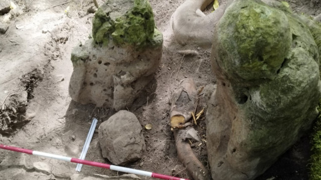 Deux sculptures anthropomorphes de forme ou d'apparence humaine qui “représentent un couple ancestral“, découvertes sur le site archéologique d'Uaxactun dans la biosphère maya, dans le département de Peten, au Guatemala, le 29 mai 2025.