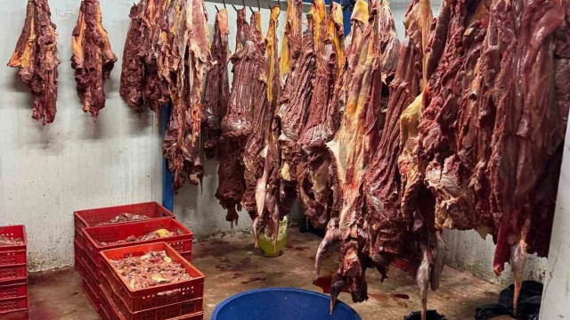 Kebabın başkenti Adana'da at ve eşek etleriyle ilgili skandallar devam ediyor.