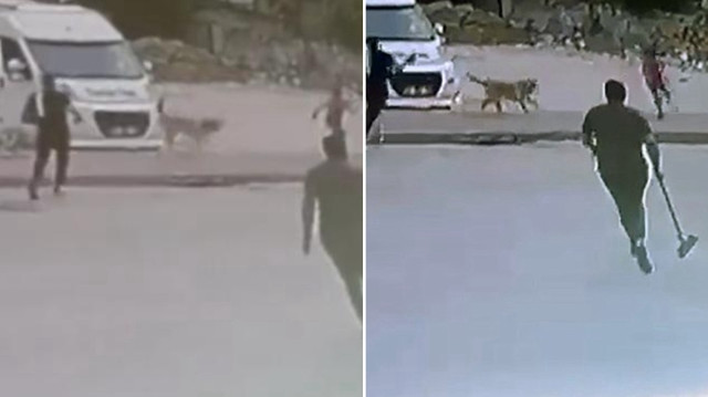 Sahipsiz köpeklerin saldırdığı çocuklarının sağlık durumlarının iyi olduğu bildirildi.