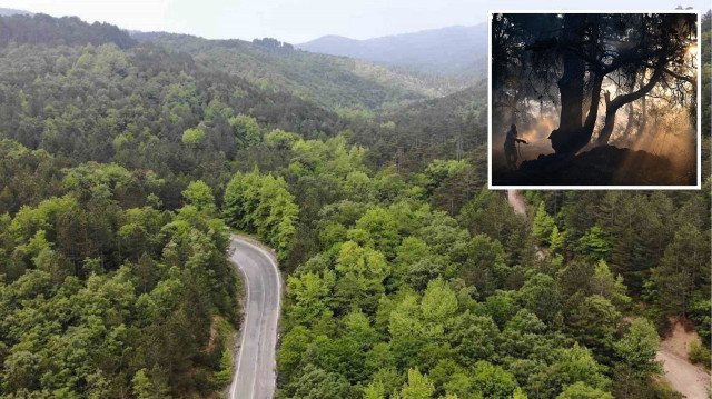 Çanakkale ormanlarına giriş yasağı 1 Haziran'dan itibaren başlıyor