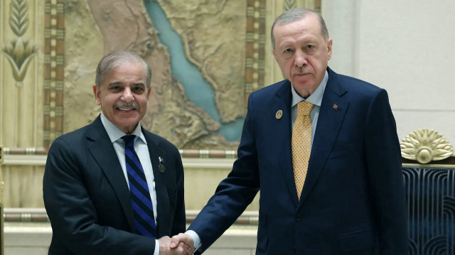 أردوغان: مستعدون لبذل ما بوسعنا لمنع التصعيد بين باكستان والهند