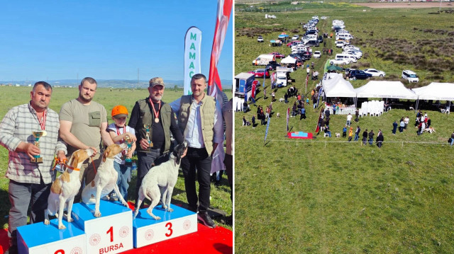 Katılımcılar köpeklerin yeteneklerini sergilediği yarışmaları ilgiyle takip etti.